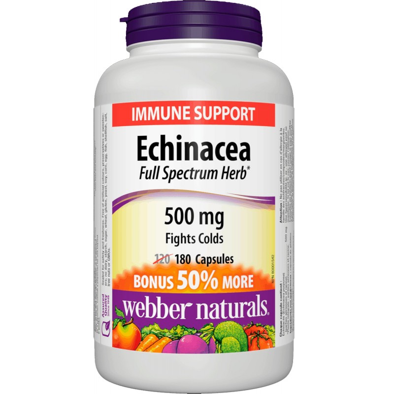 Echinacea 500mg (180 caps)