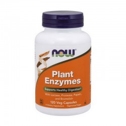 Plant Enzymes (120 caps)