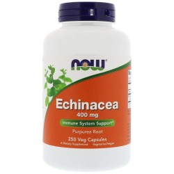 Echinacea 400mg (250 caps)