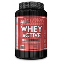 ACTIWAY - Whey Active Schokolade (1 kg)